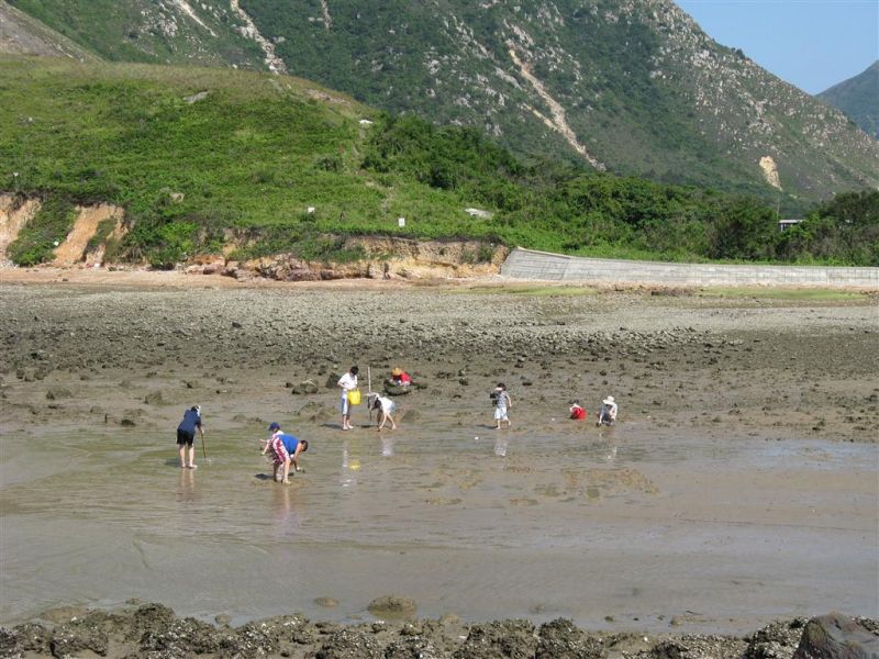 hong kong 2 162 (Medium).jpg