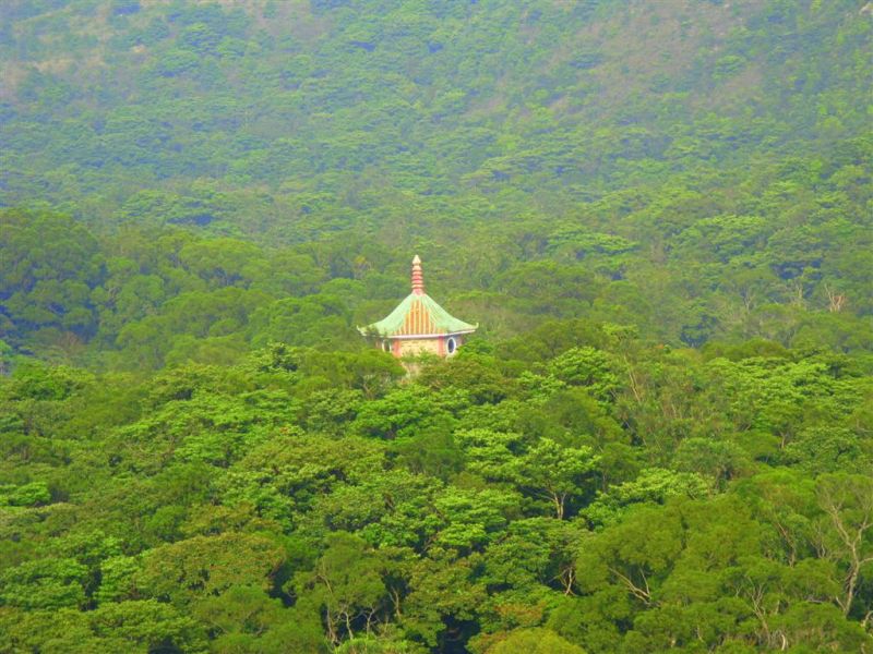 hong kong buda 160 (Medium).jpg