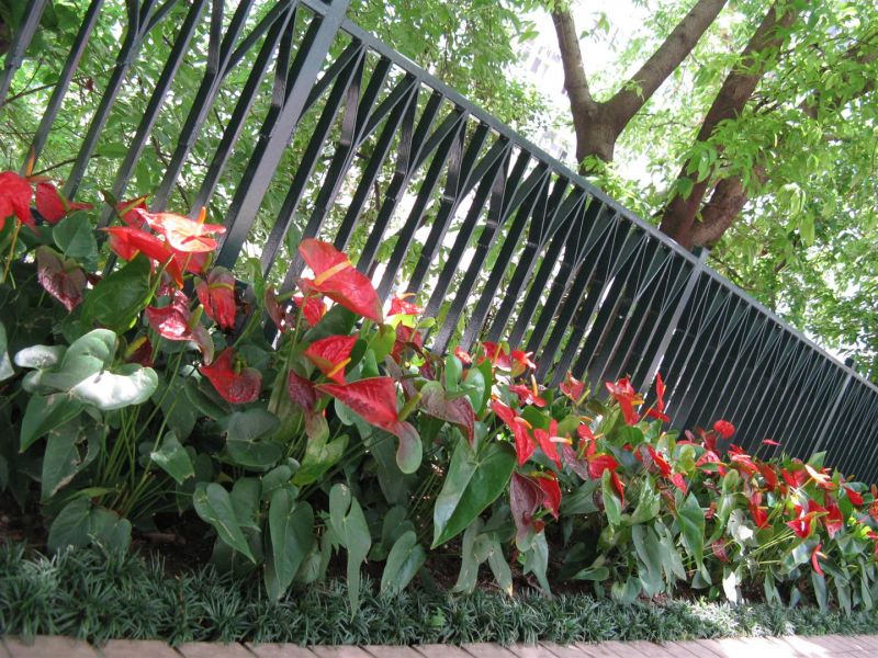 hong kong victoria 079 (Large).jpg