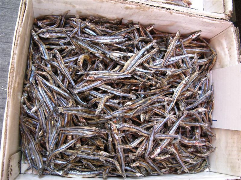 hong kong victoria 089 (Medium).jpg