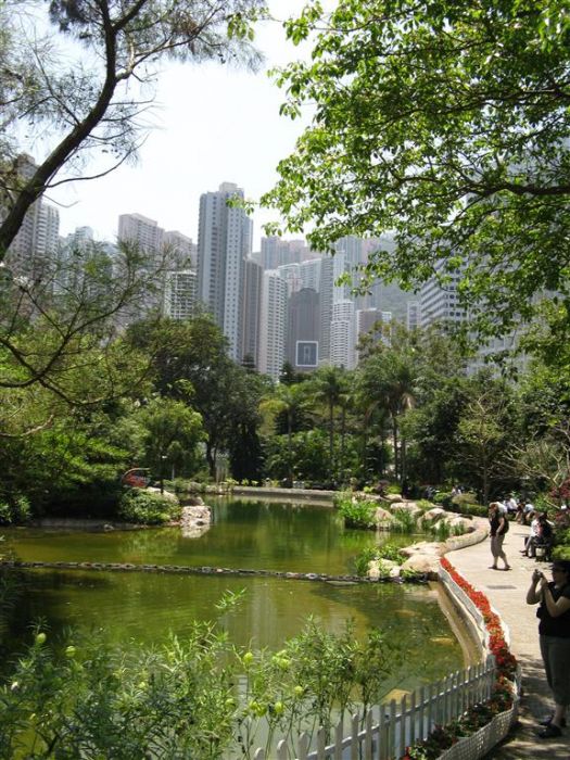 hong kong victoria 102 (Medium).jpg