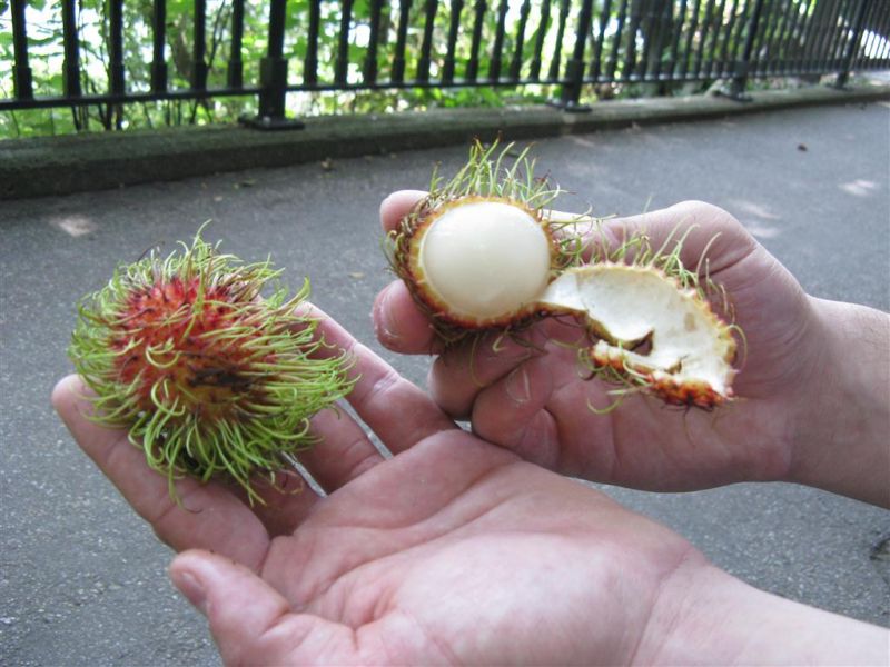 hong kong victoria 138 (Medium).jpg