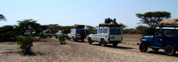 HZJ70 and others.jpg