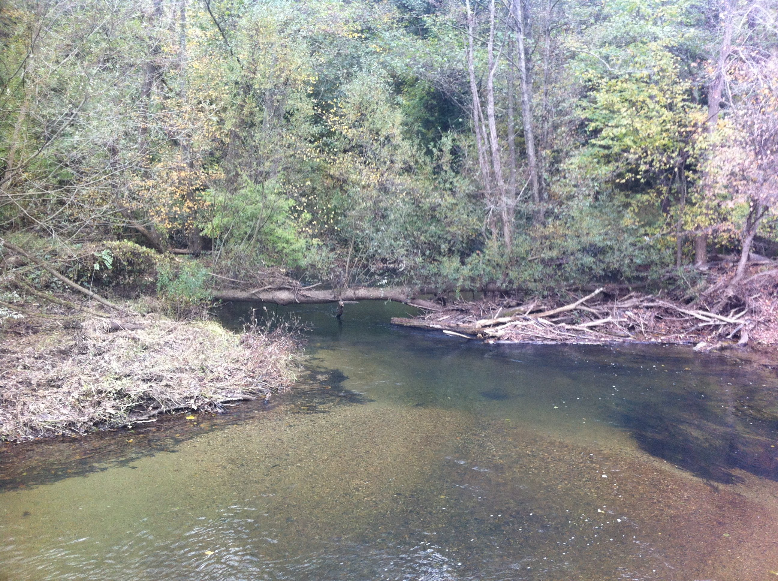 iÃƒÂƒÃ‚Â„ÃƒÂ‚Ã‚ÂŸneada-2 017.jpg