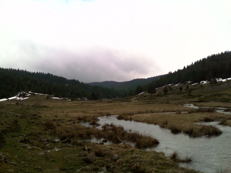IMAG0075.jpg