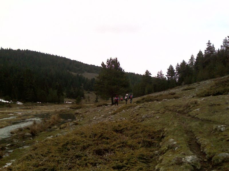 IMAG0076.jpg