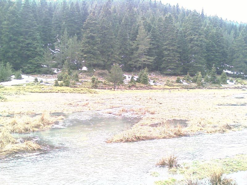 IMAG0077.jpg