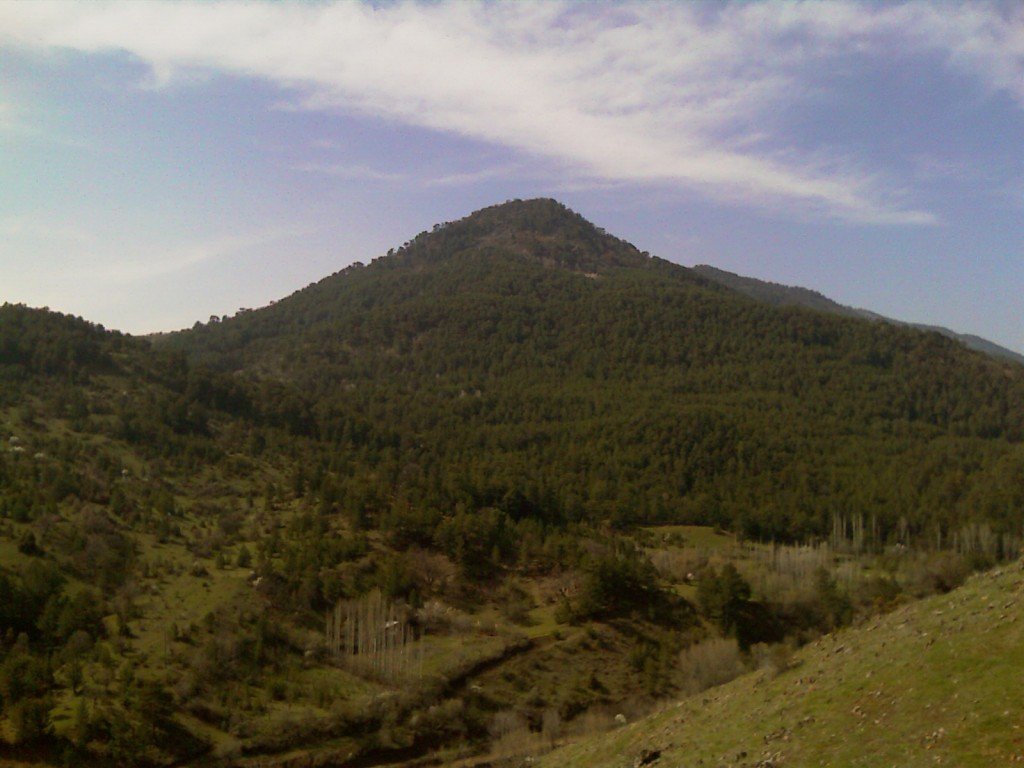 IMAG0108.jpg