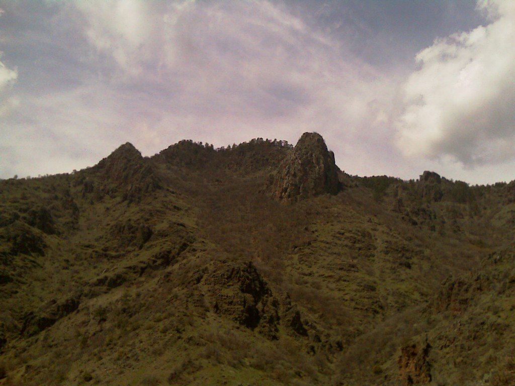 IMAG0121.jpg