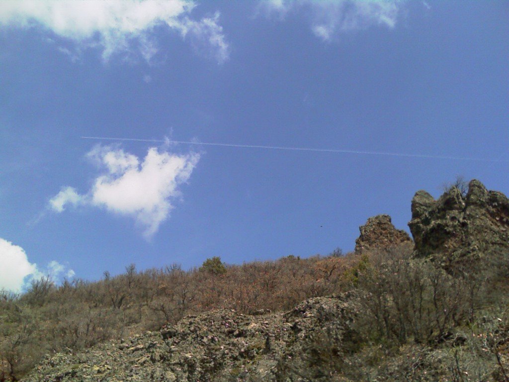 IMAG0123.jpg