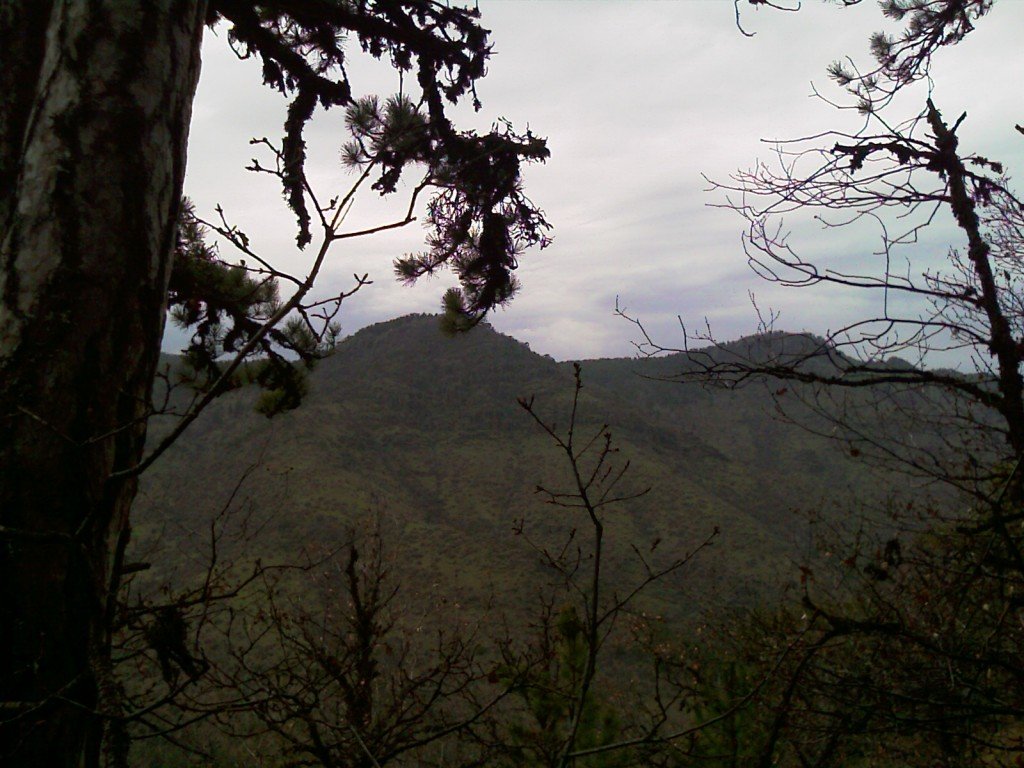 IMAG0125.jpg
