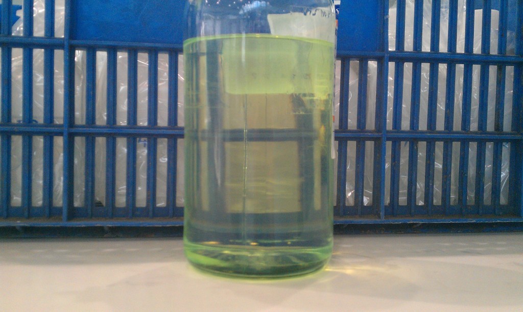 IMAG0507.jpg