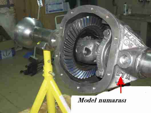 Image-3 [HDTV (1080)].jpg