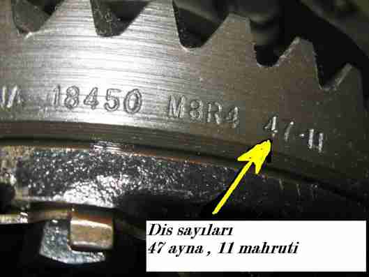 Image-4 [HDTV (1080)].jpg