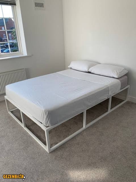 images (17).jpeg images (17).jpeg