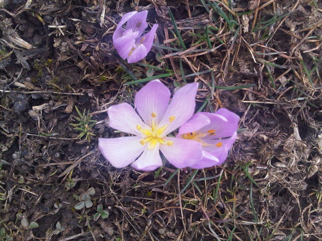 IMG-20130303-01109.jpg