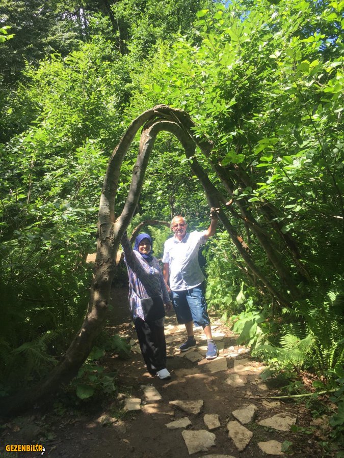 IMG-20190728-WA0014.jpg