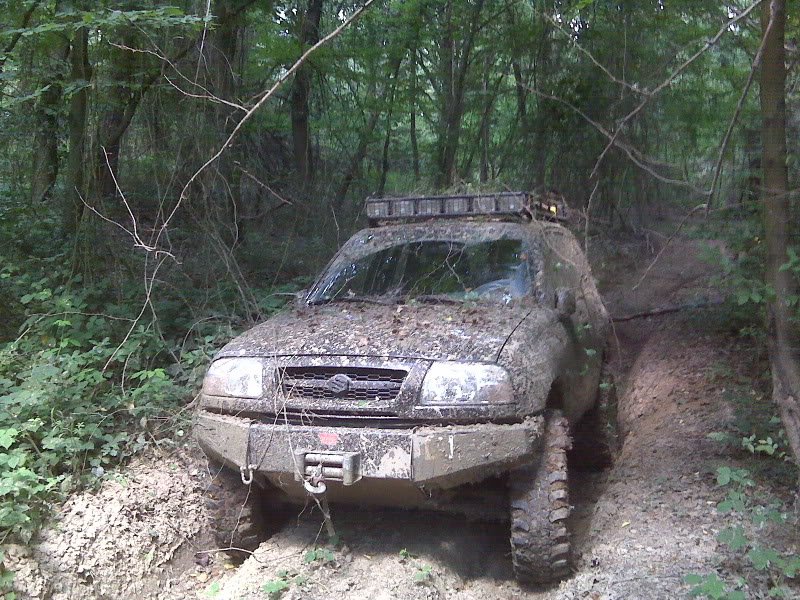 IMG00079.jpg