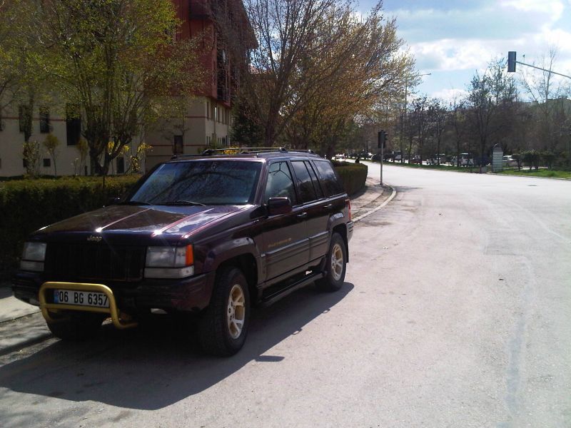 IMG00237-20110411-1424.jpg