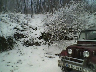 IMG0036B.jpg