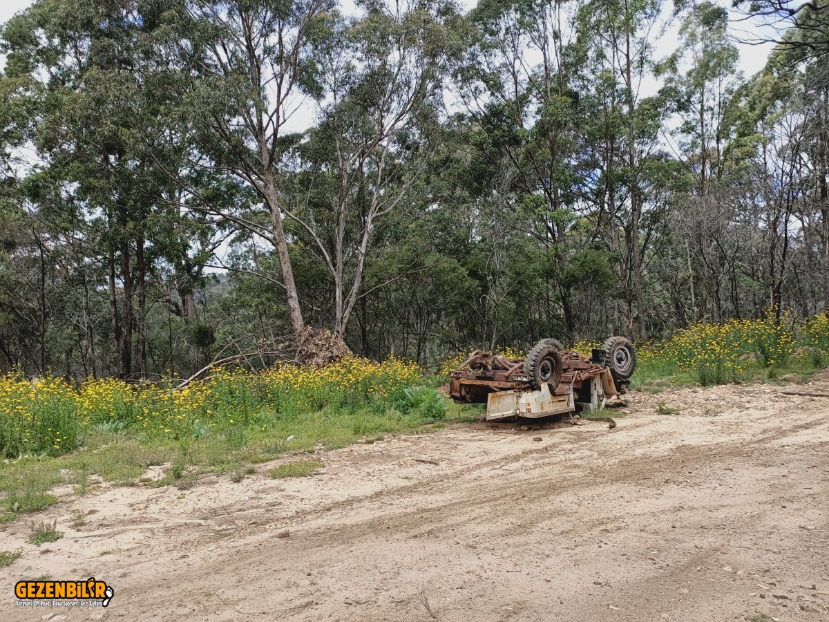 IMG20201108134334.jpg IMG20201108134334.jpg