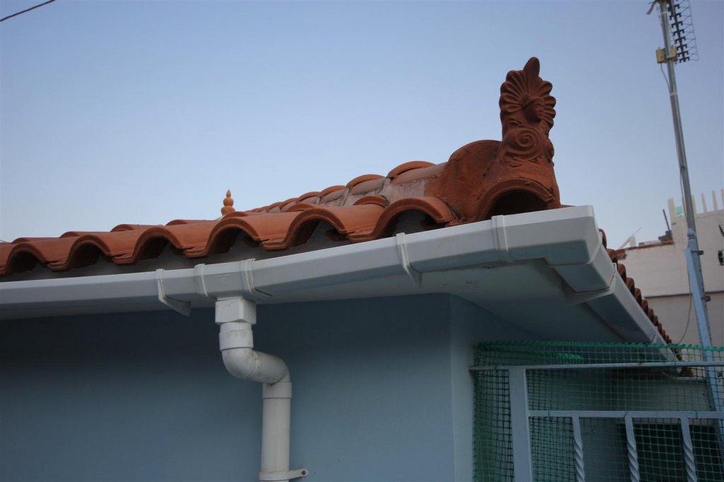 IMG_0013 (Large).JPG