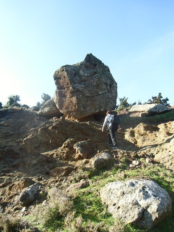 IMG_0017.JPG
