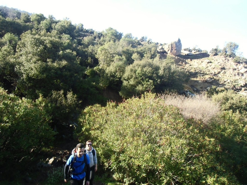 IMG_0019.JPG