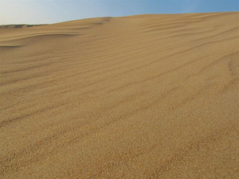 IMG_0021 (Large).jpg