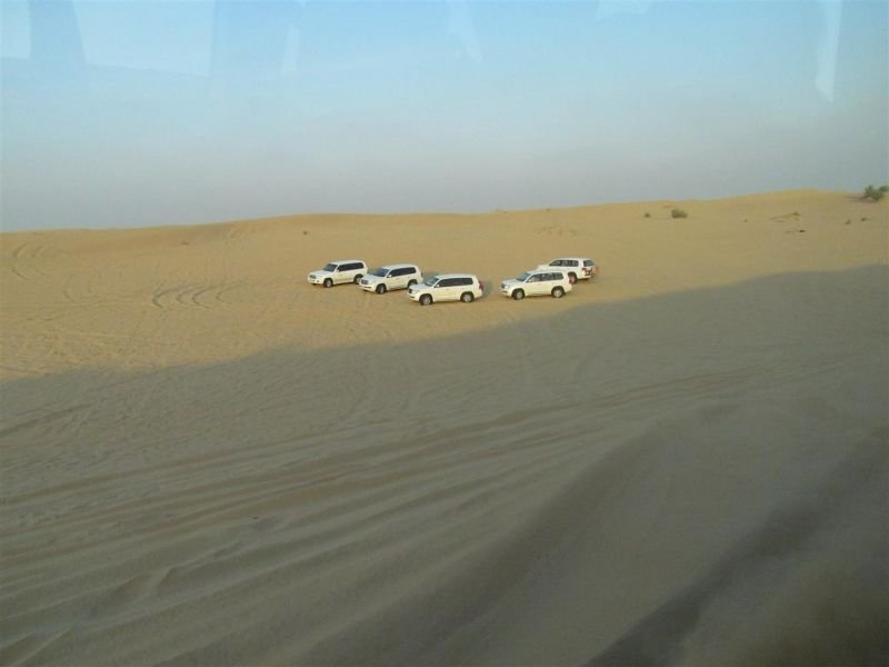 IMG_0029 (Large).jpg