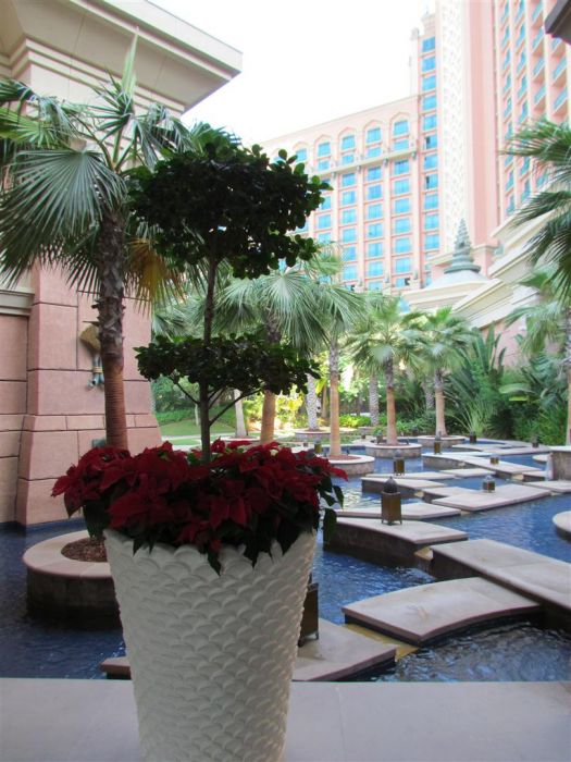 IMG_0038 (Large).jpg