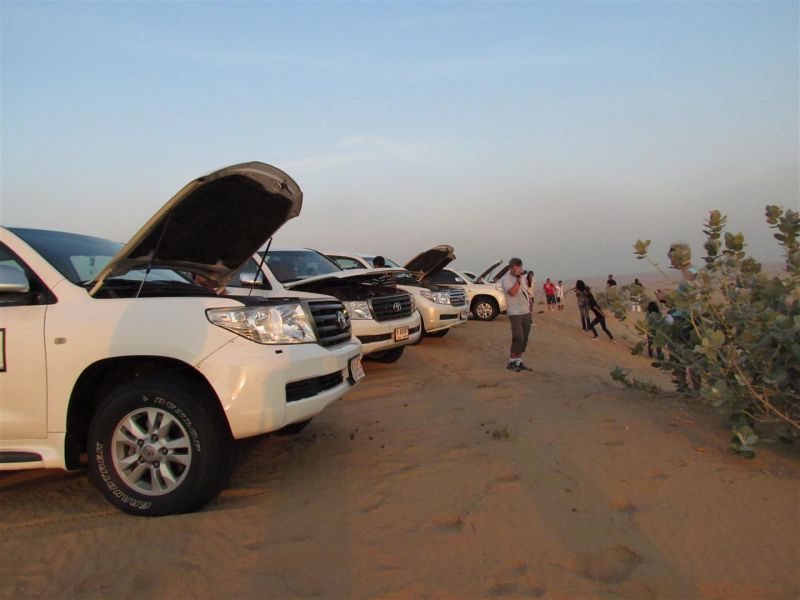 IMG_0042 (Large).jpg