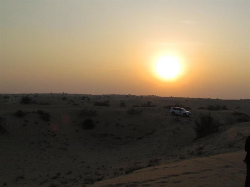 IMG_0044 (Large).jpg