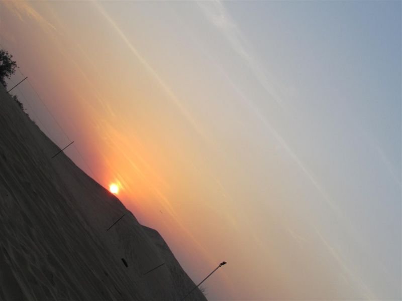 IMG_0051 (Large).jpg