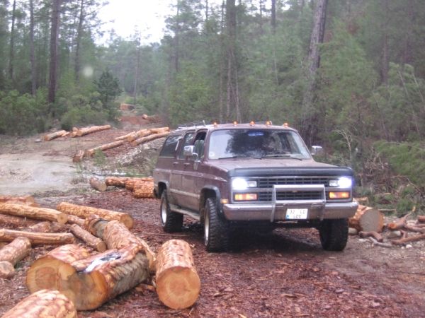 IMG_0056 (600 x 450).jpg