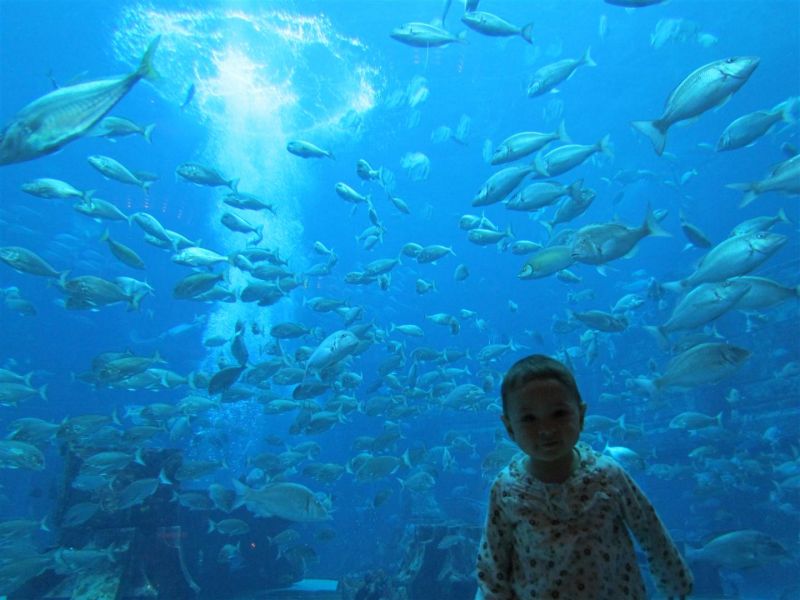 IMG_0072 (Large).jpg