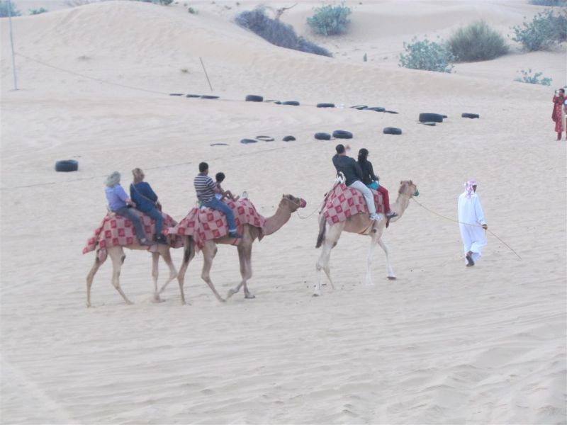 IMG_0077 (Large).jpg