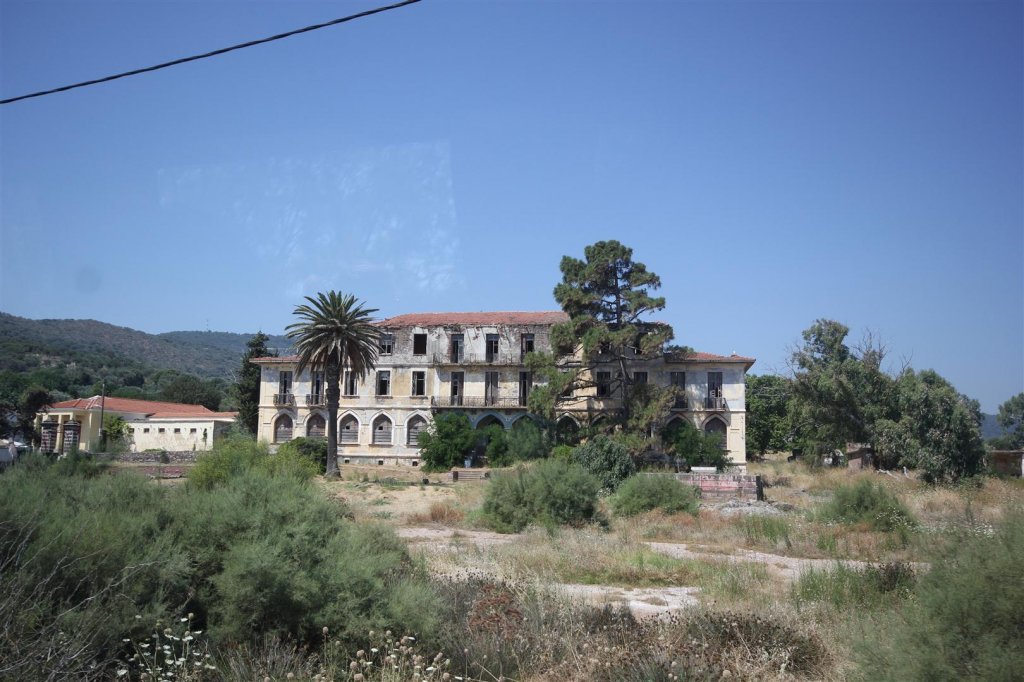 IMG_0081 (Large).JPG