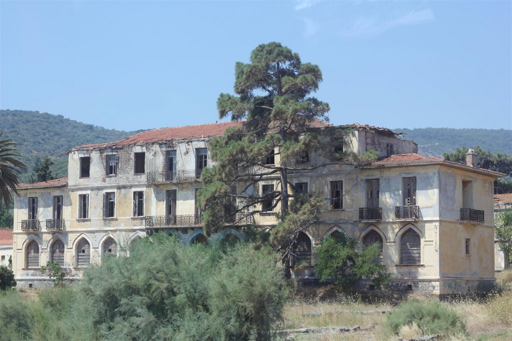 IMG_0084 (Large).JPG