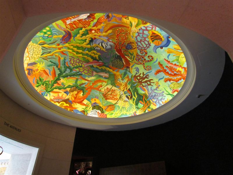 IMG_0086 (Large).jpg