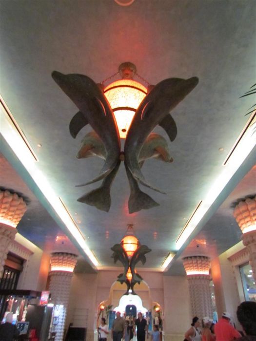 IMG_0090 (Large).jpg