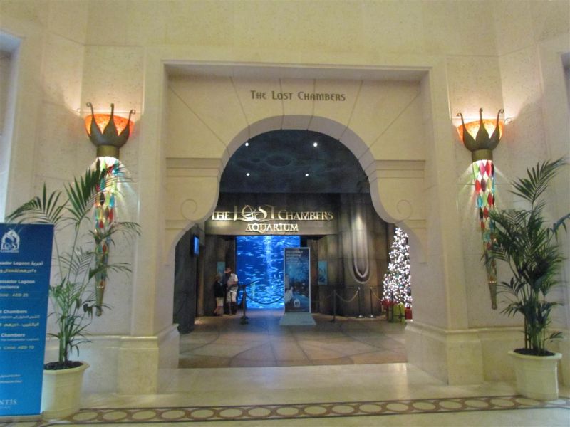 IMG_0092 (Large).jpg