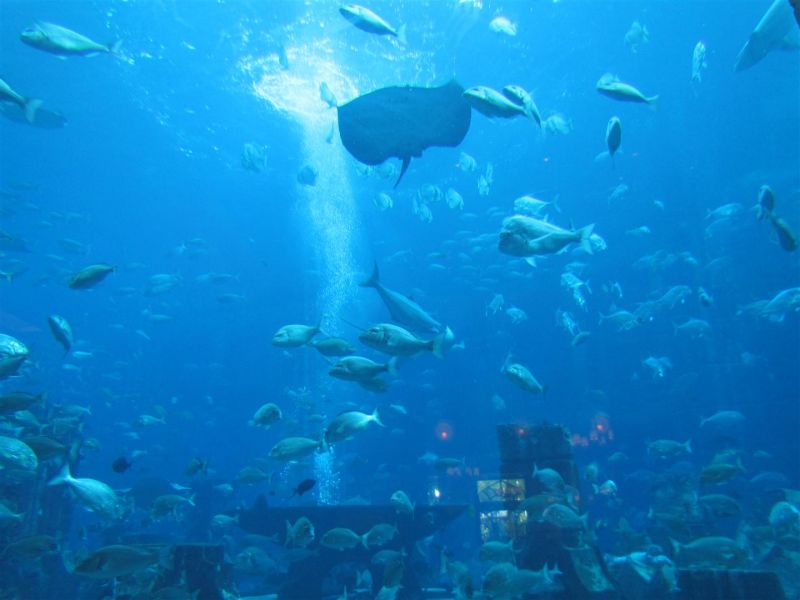 IMG_0096 (Large).jpg