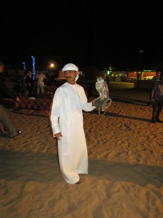 IMG_0104 (Large).jpg