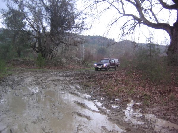 IMG_0105 (600 x 450).jpg