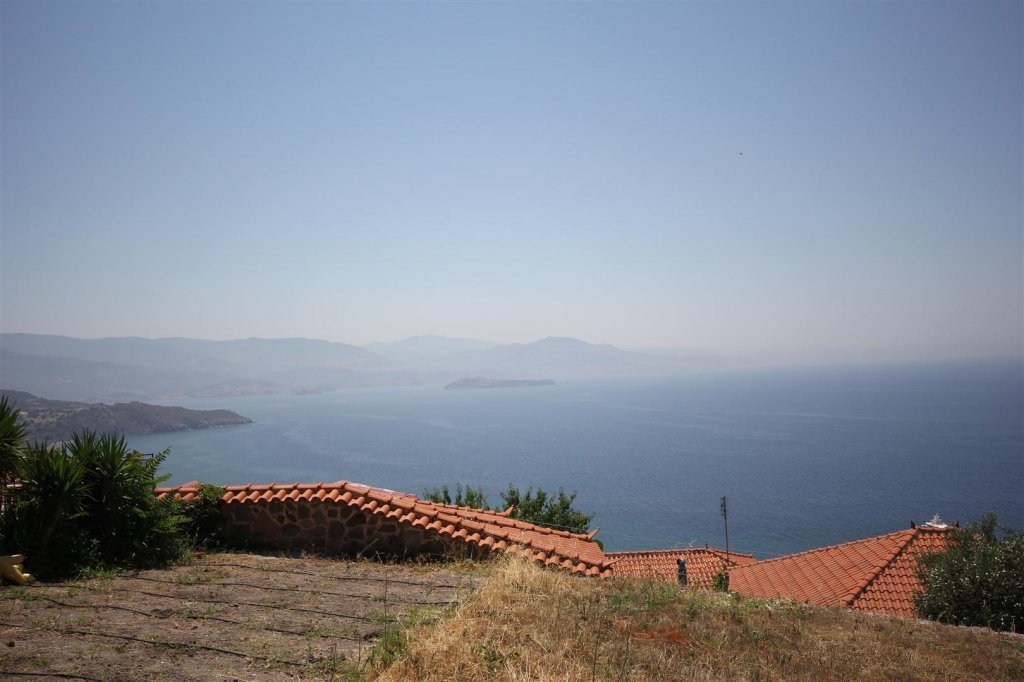 IMG_0113 (Large).JPG