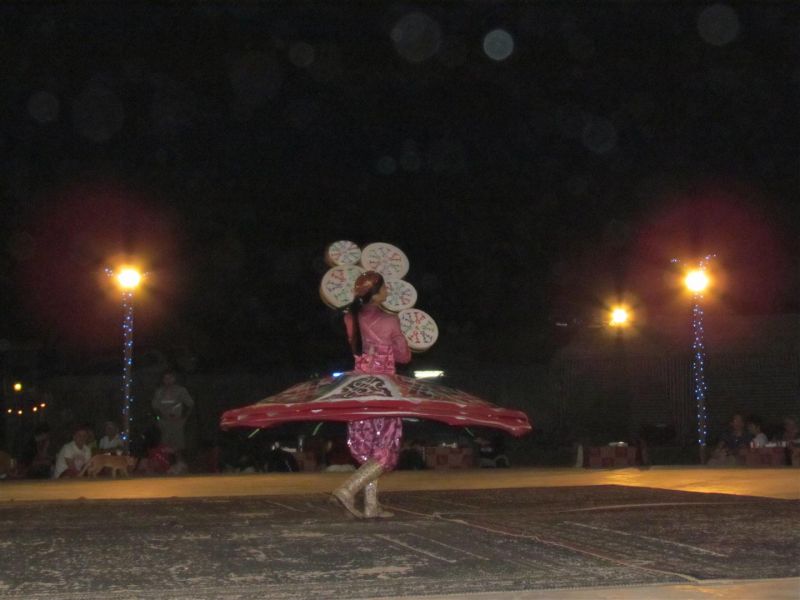 IMG_0118 (Large).jpg