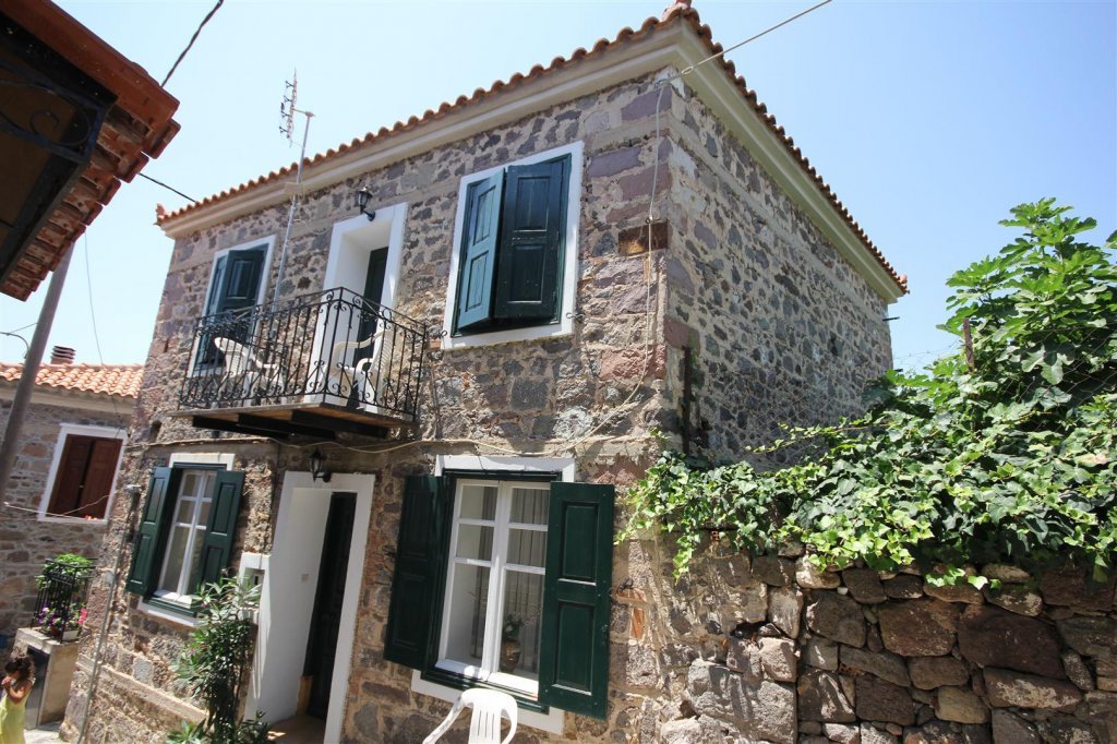 IMG_0123 (Large).JPG