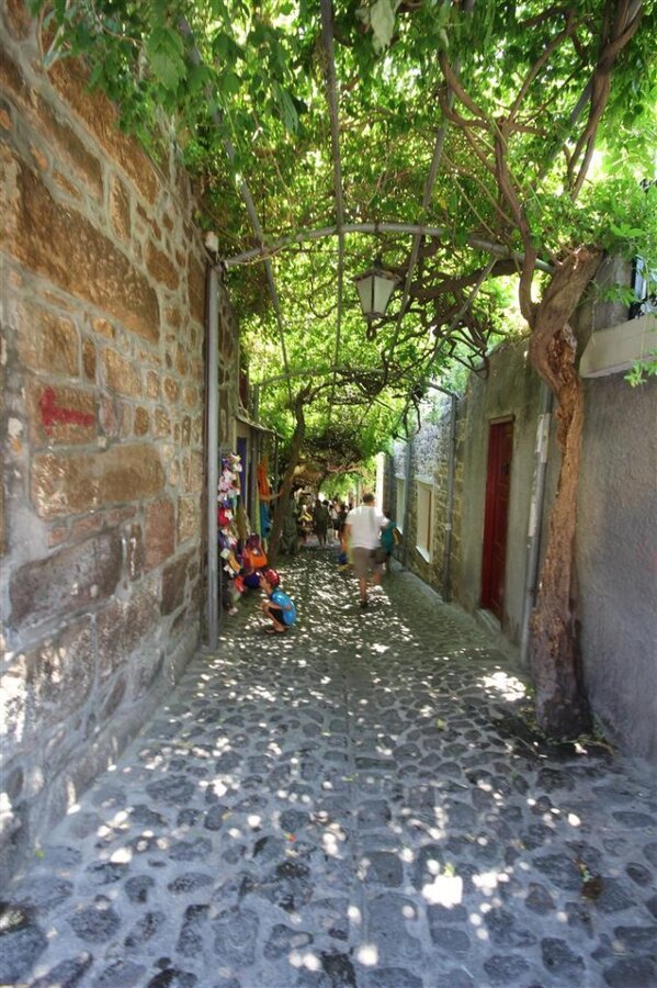 IMG_0125 (Large).JPG