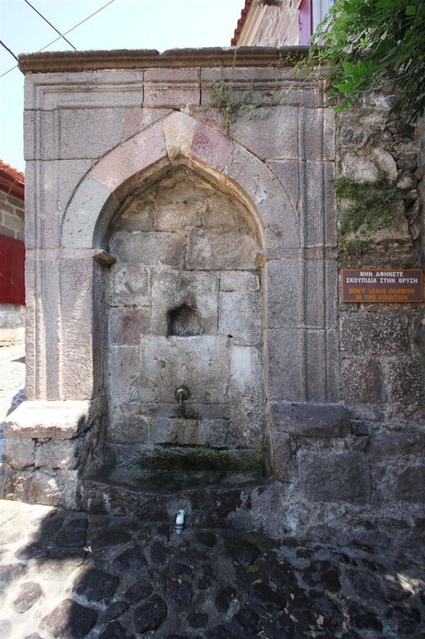 IMG_0134 (Large).JPG